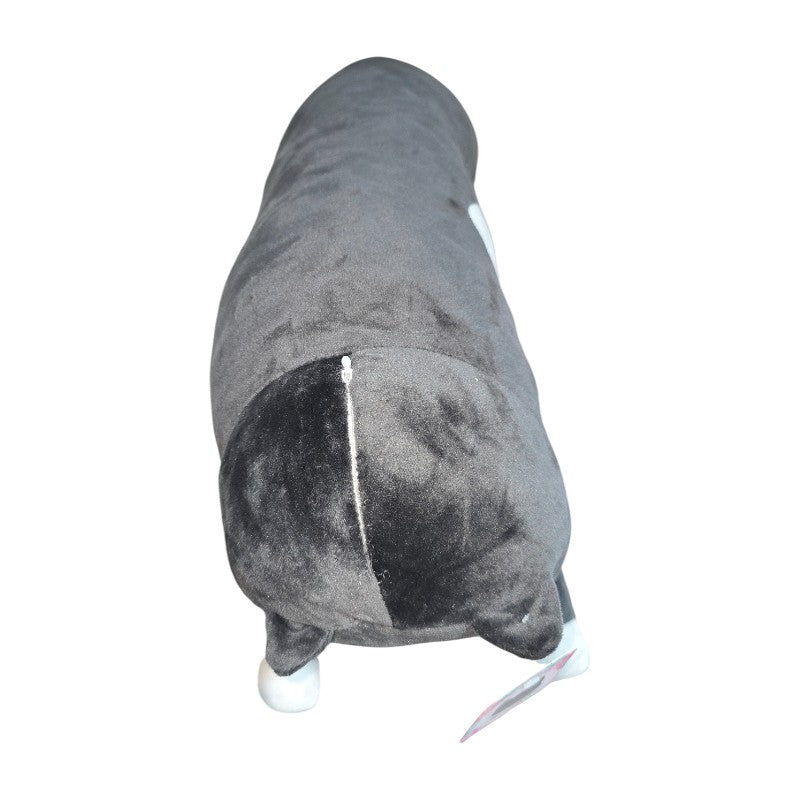 Peluche Gato Largo Blanco – Meowsillus