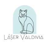 LaserValdivia