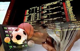 Exploring the Features and Benefits of 7d bet 5